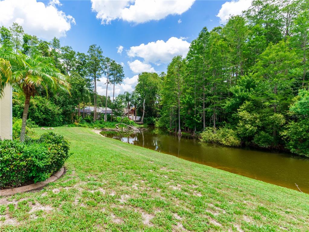 A grassy backyard slopes down toward a small pond surrounded by dense trees — 8153 BAYTREE DRIVE, NEW PORT RICHEY, FL