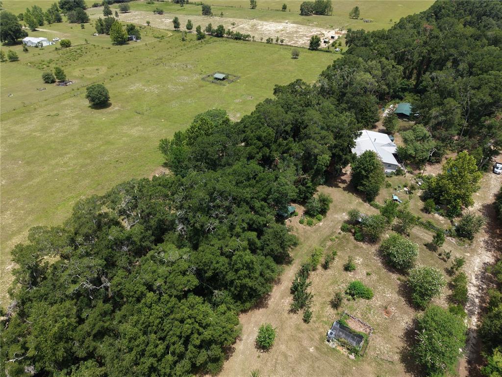 An aerial view shows a house surrounded by trees, a large pasture, and outbuildings — 6482 SE 55TH STREET, TRENTON, FL