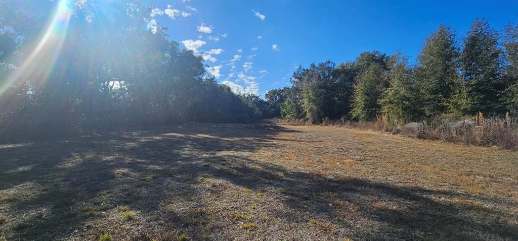 A wide, cleared dirt lot is bordered by dense trees under a clear blue sky — E CLEVELAND STREET, APOPKA, FL