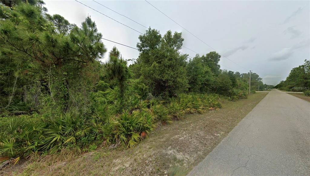 A paved road runs alongside a wooded lot with dense vegetation and palm plants — 519 BROADWAY AVENUE, LEHIGH ACRES, FL
