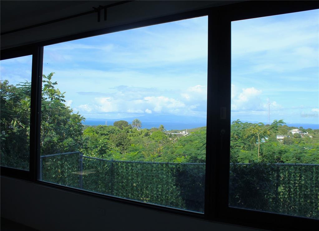 A view of a lush green landscape and the ocean through large black-framed windows — 210 VISTA BELLA, VIEQUES, PR
