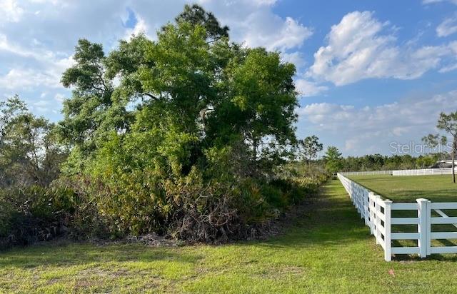A white fence borders a grassy field next to a large tree and dense vegetation — 24005 83RD AVENUE E, MYAKKA CITY, FL