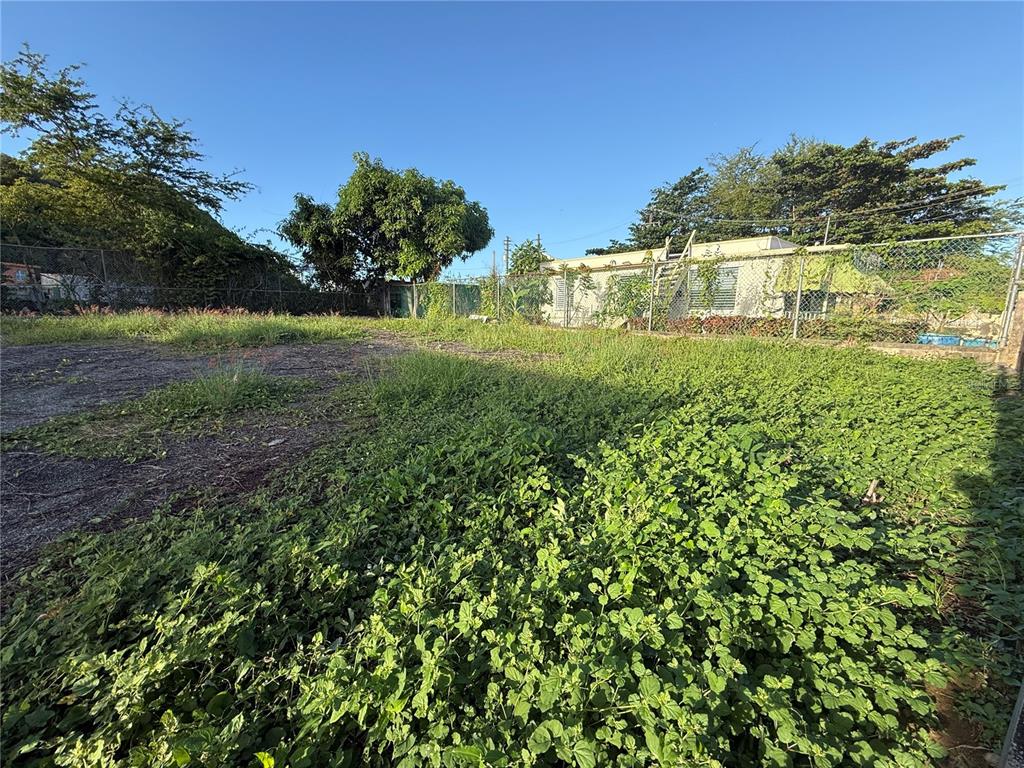 A vacant, overgrown lot with a chain-link fence and a neighboring house in the background — . UNION UNIT 475, PUERTO REAL, PR