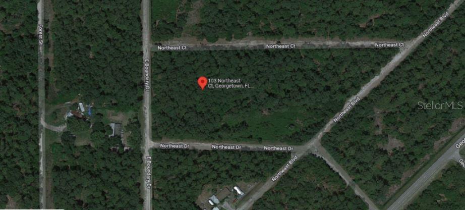 103 NORTHEAST COURT, GEORGETOWN, FL — photo 5 of 6