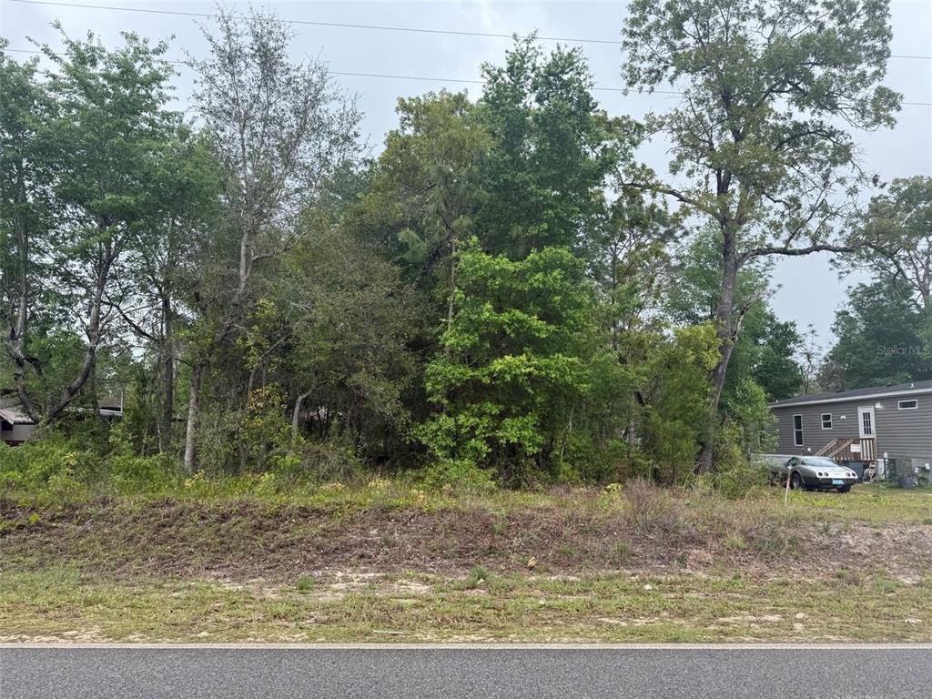 DAWN AVENUE, INTERLACHEN, FL — photo 3 of 7