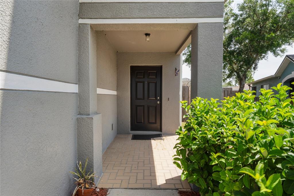 A covered entryway features a dark brown front door, light-colored pavers, and gray stucco walls — 3533 CARDINAL FEATHER DRIVE, LAND O LAKES, FL