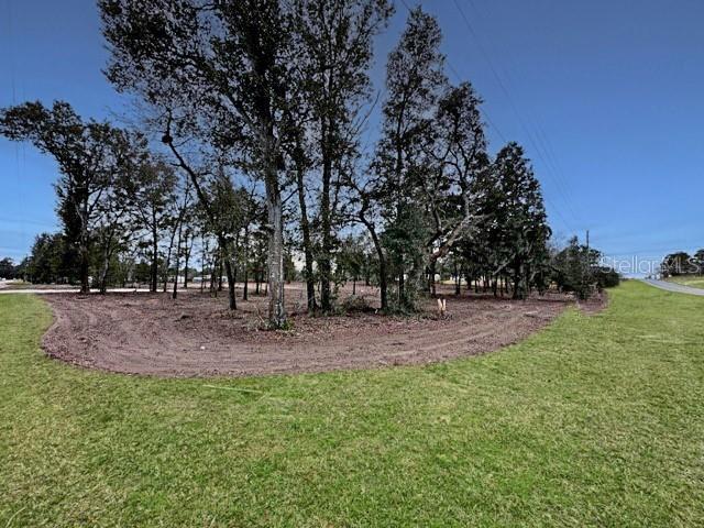 A grassy lot features a cleared dirt area surrounded by a cluster of tall trees — TBD SE 148TH TERRACE, MORRISTON, FL