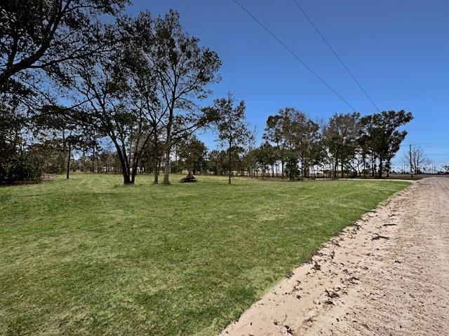 A grassy, partially wooded lot sits adjacent to a sandy dirt road under a clear sky — TBD SE 148TH TERRACE, MORRISTON, FL