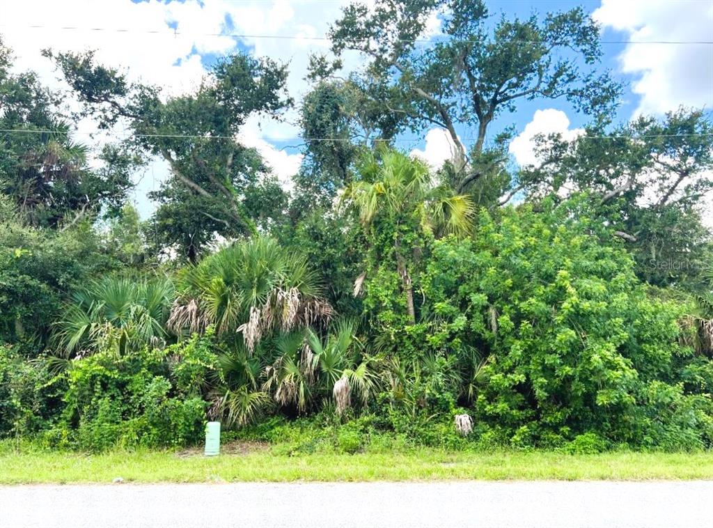 A dense, wooded lot with various trees and shrubs sits behind a grassy roadside strip — 323 CANORA DRIVE, PORT CHARLOTTE, FL
