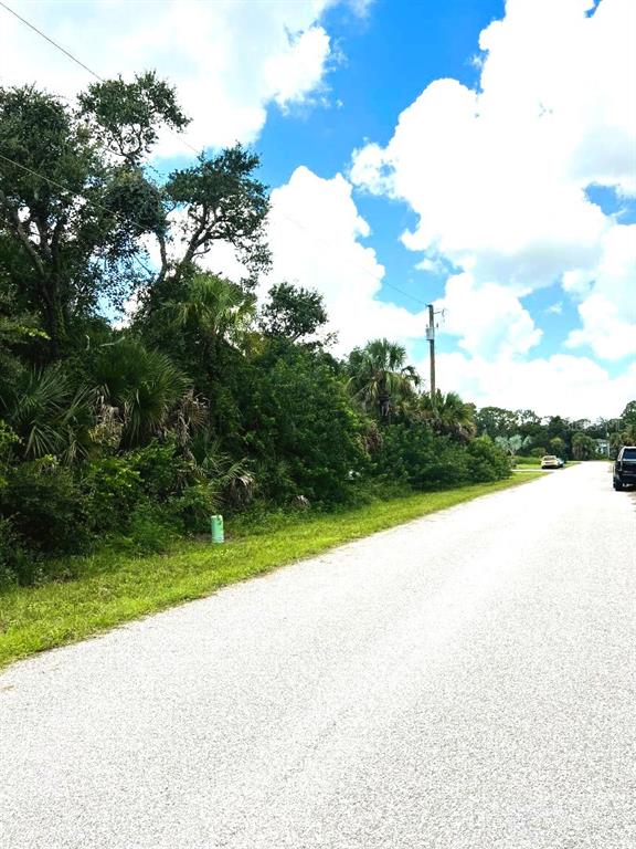 A paved road runs alongside a dense, wooded lot with a utility pole — 323 CANORA DRIVE, PORT CHARLOTTE, FL