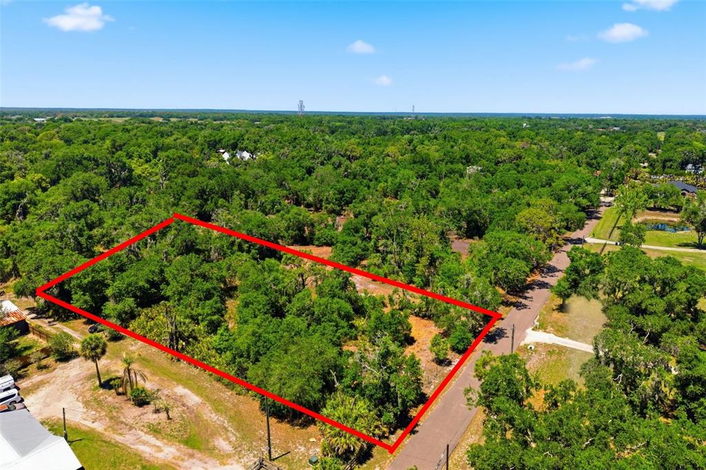 This is a survey map of the HLT Estates minor subdivision in Hillsborough County, Florida — 19084 RED BIRD LANE LOT 2, LITHIA, FL