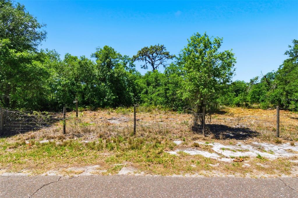 An aerial view shows a large, wooded plot of land divided into five numbered sections — 19084 RED BIRD LANE LOT 2, LITHIA, FL