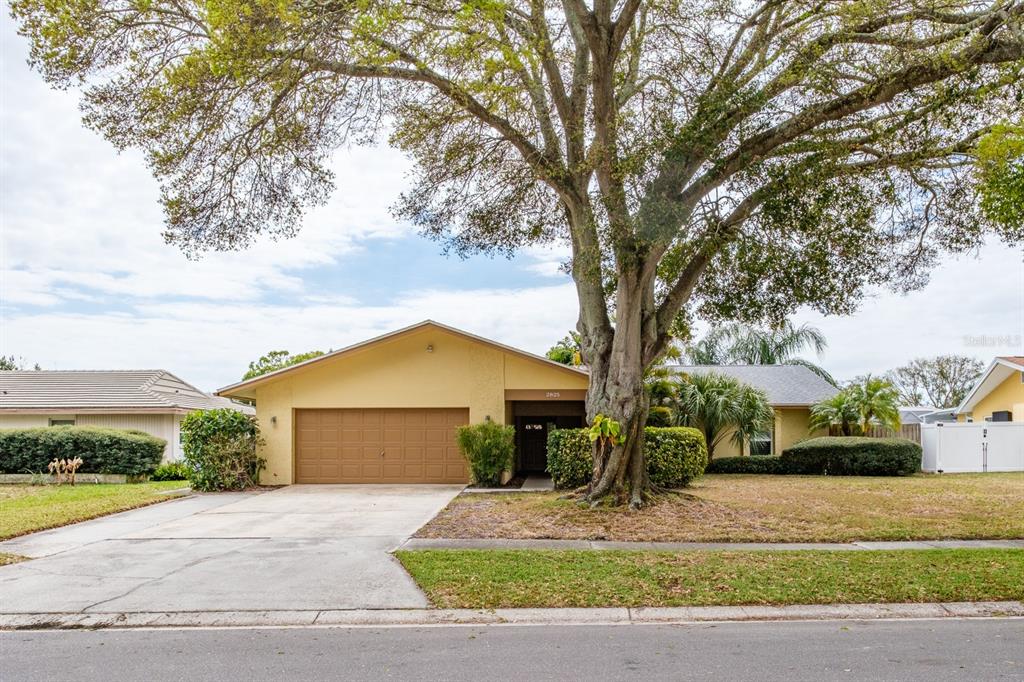 2825 LONG VIEW DRIVE