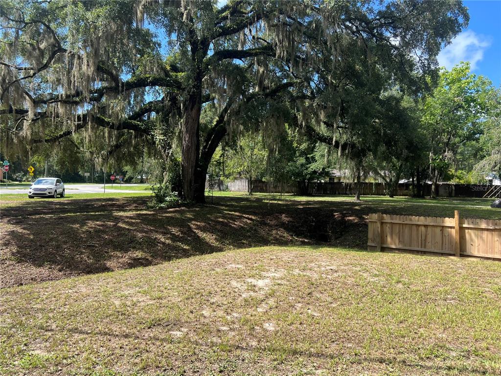 A large oak tree with Spanish moss stands in a grassy yard near a fence — 1456 SE 22ND AVENUE, GAINESVILLE, FL