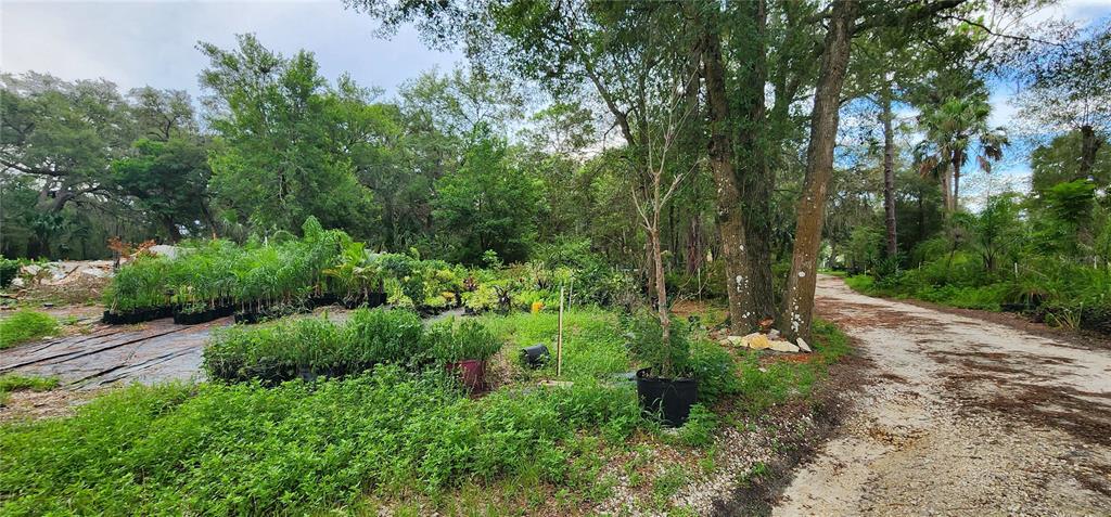 711 SUNSET AVENUE, ORANGE CITY, FL — photo 5 of 12