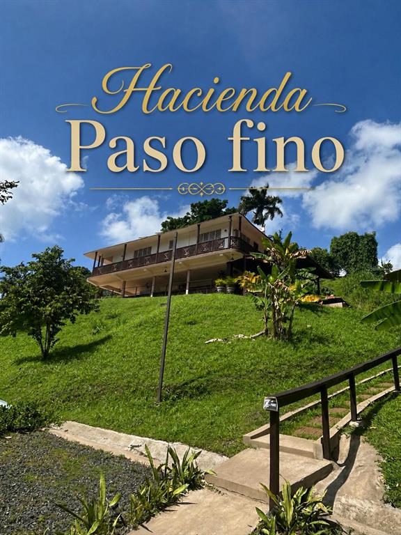 A two-story house sits on a grassy hill under a blue sky with clouds — Cofresi MAMEYES UNIT 57, LUQUILLO, PR