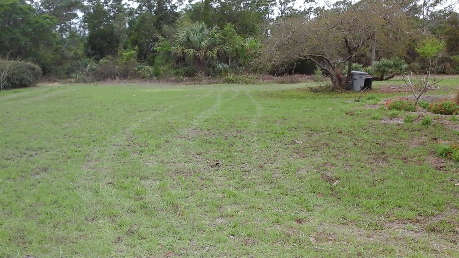 A large, grassy backyard features a mature tree, a trash bin, and surrounding woods — 8065 126th Street, Sebastian FL 32958, SEBASTIAN, FL