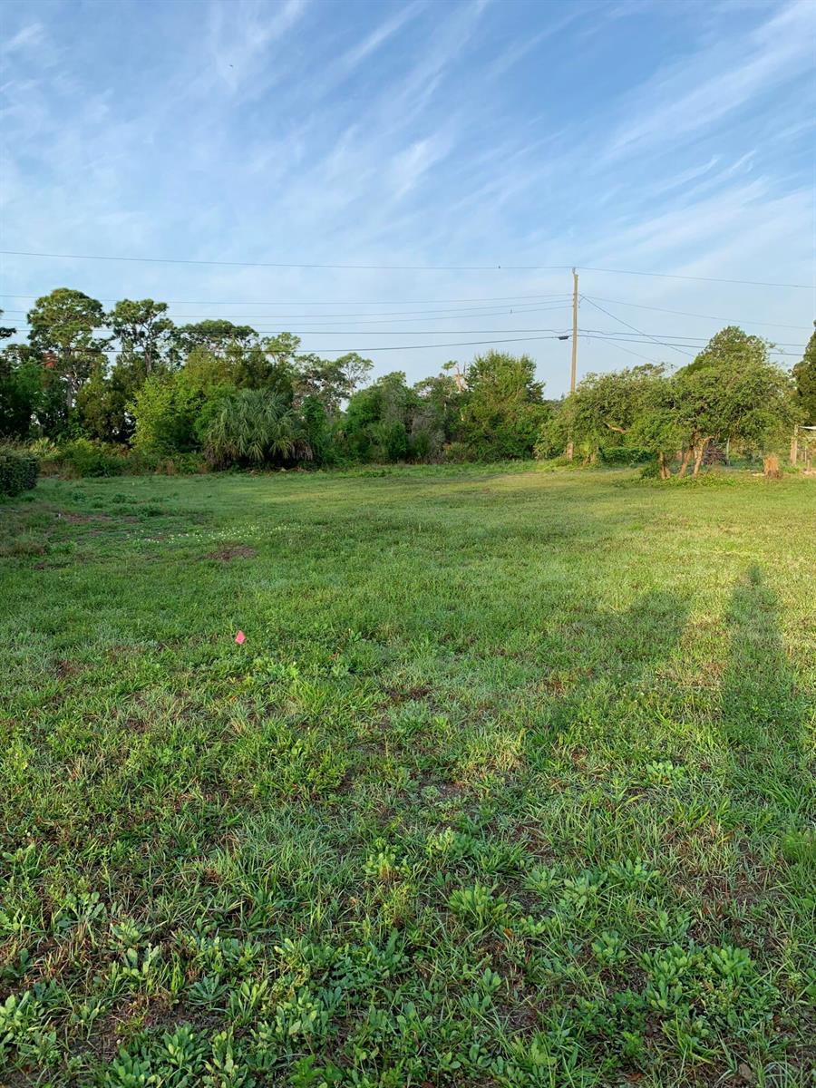 A wide, grassy vacant lot is bordered by trees and utility lines under a blue sky — 8065 126th Street, Sebastian FL 32958, SEBASTIAN, FL