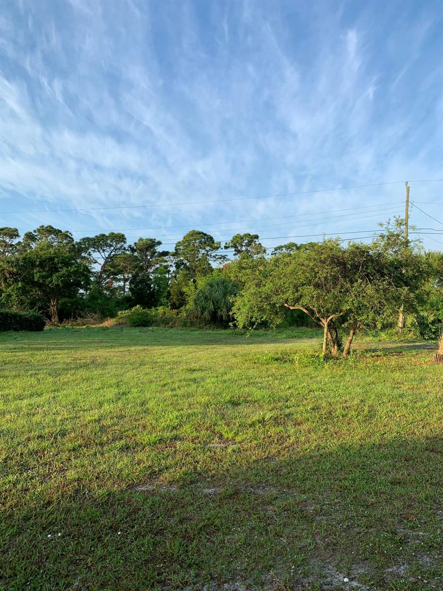 A grassy, open lot features a single tree in the foreground and dense woods behind — 8065 126th Street, Sebastian FL 32958, SEBASTIAN, FL