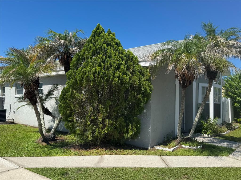 A gray house exterior features a large central evergreen tree flanked by two palm trees — 2399 HARBOR TOWN DRIVE, KISSIMMEE, FL
