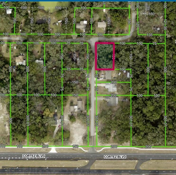 Lot 175C MADISON AVENUE