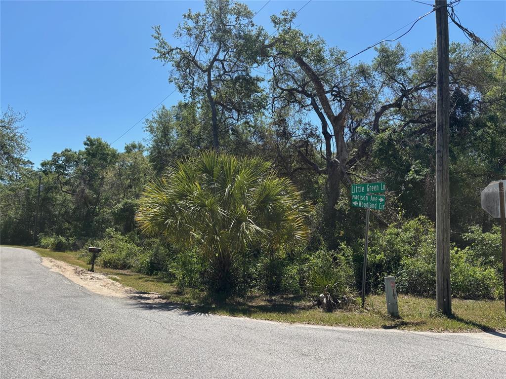 A street corner with a road sign indicating Little Green Ln, Madison Ave, and Woodland Cir — Lot 175C MADISON AVENUE, DADE CITY, FL