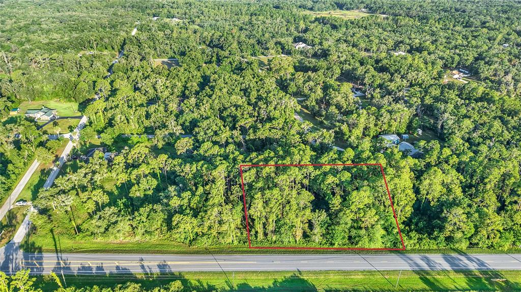 An aerial view shows a rectangular plot of land outlined in red beside a road — 0 TREIMAN BOULEVARD, WEBSTER, FL