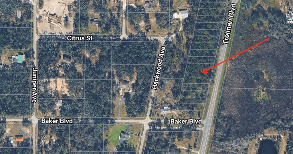 This is an aerial map showing a vacant lot highlighted by a red arrow — 0 TREIMAN BOULEVARD, WEBSTER, FL