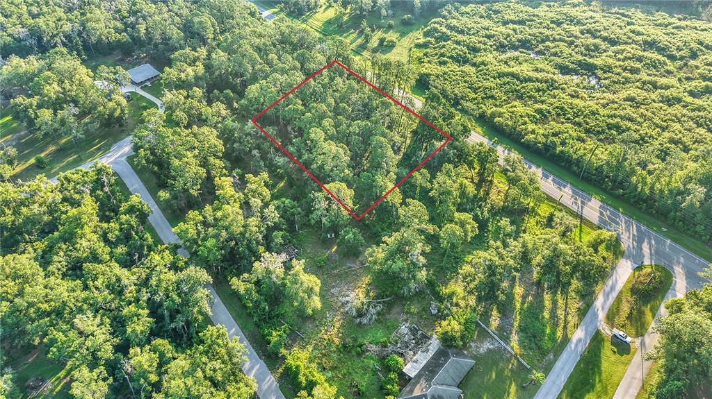 An aerial view shows a wooded lot outlined in red next to a paved road — 0 TREIMAN BOULEVARD, WEBSTER, FL