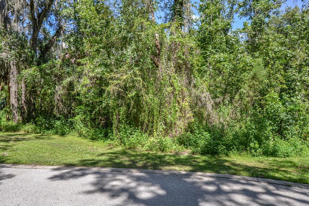 4808 RAMBLING RIVER ROAD, BRANDON, FL — photo 2 of 11