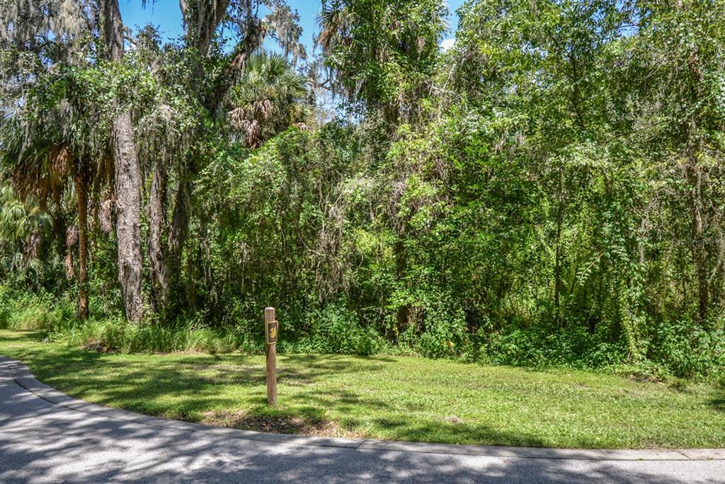 4808 RAMBLING RIVER ROAD, BRANDON, FL — photo 3 of 11