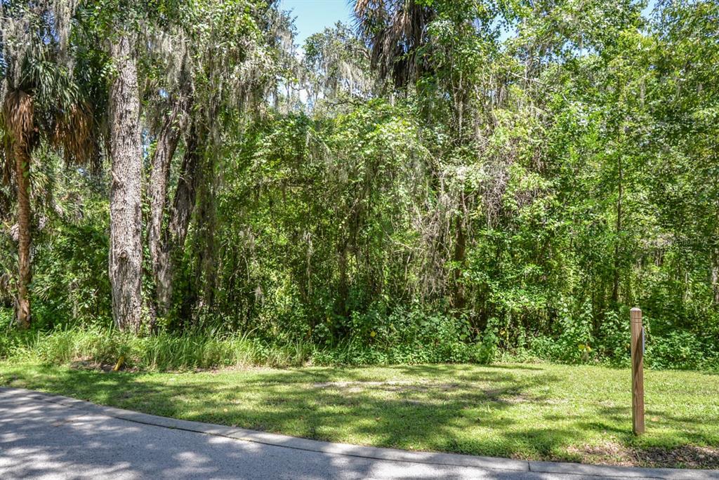 4808 RAMBLING RIVER ROAD, BRANDON, FL — photo 4 of 11