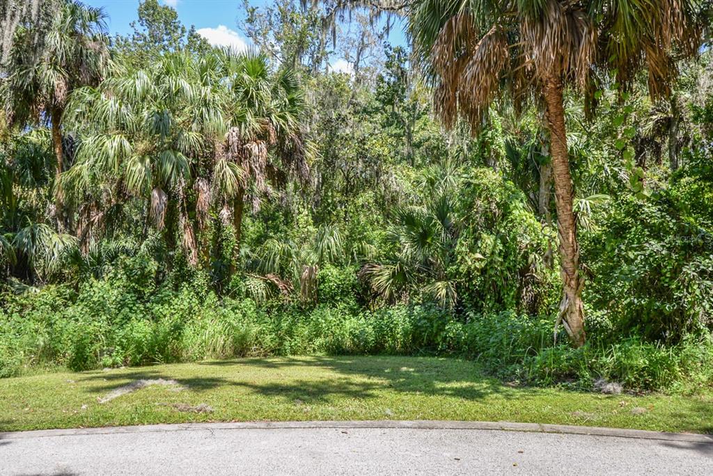 4808 RAMBLING RIVER ROAD, BRANDON, FL — photo 5 of 11