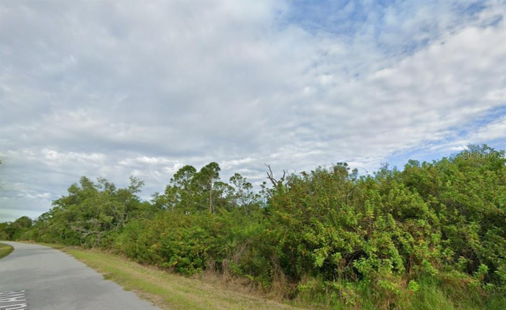 A paved road runs alongside a dense area of trees and shrubs under a cloudy sky — 14685 ROTHSCHILD AVENUE, PORT CHARLOTTE, FL