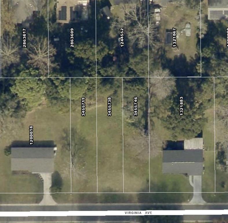 This is an aerial map showing several adjacent land parcels along Virginia Avenue — VIRGINIA AVENUE, EUSTIS, FL