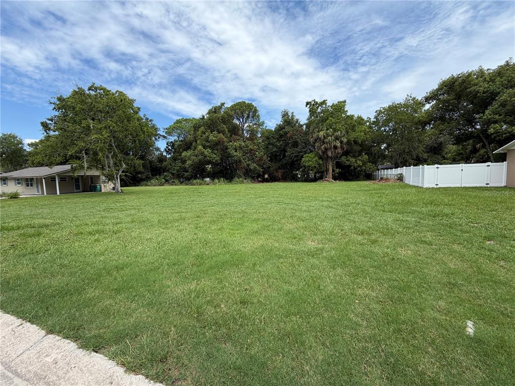 A large, grassy vacant lot is bordered by trees, a house, and a white fence — VIRGINIA AVENUE, EUSTIS, FL