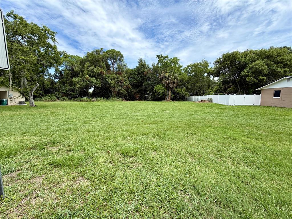 A wide, grassy vacant lot is bordered by trees and a white vinyl fence — VIRGINIA AVENUE, EUSTIS, FL