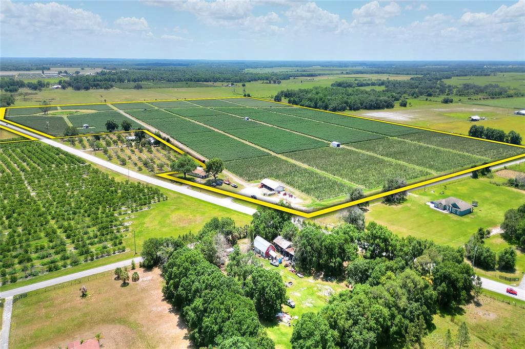 An aerial view shows a large agricultural property with crop fields, orchards, and several buildings — 3674 E STATE ROAD 64, ZOLFO SPRINGS, FL