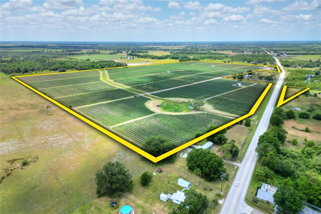 An aerial view shows a large agricultural field outlined in yellow next to a road — 3674 E STATE ROAD 64, ZOLFO SPRINGS, FL