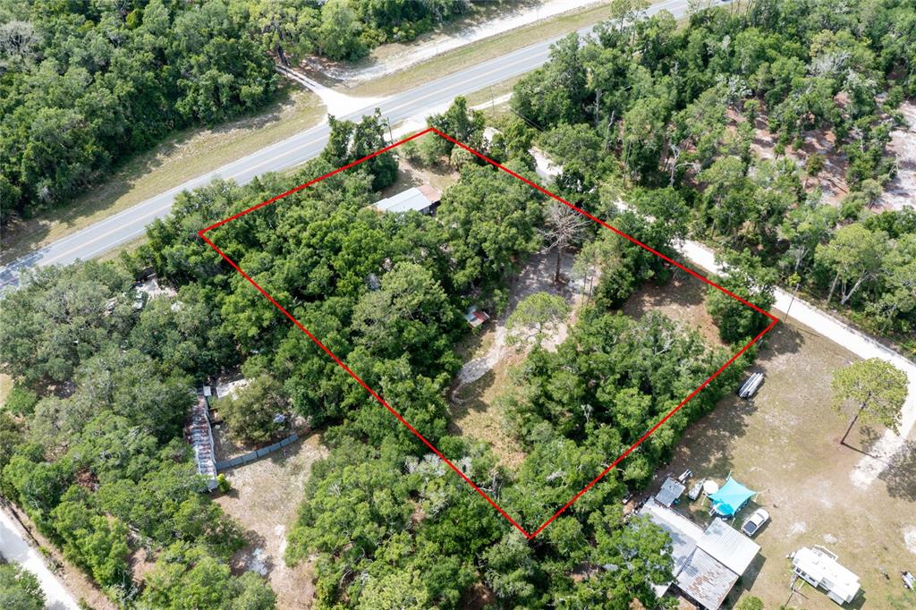 An aerial view shows a wooded lot outlined in red next to a paved road — 9580 NE HIGHWAY 351, OLD TOWN, FL