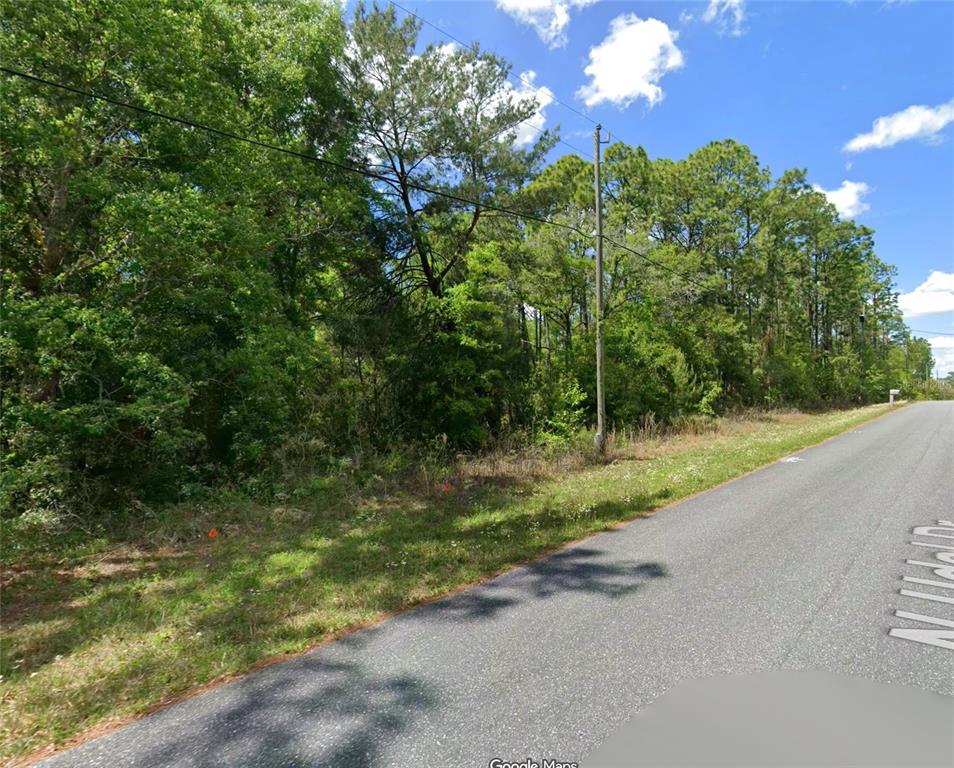 A paved road runs alongside a wooded lot with a utility pole — 7654 N UDAL DRIVE, CITRUS SPRINGS, FL