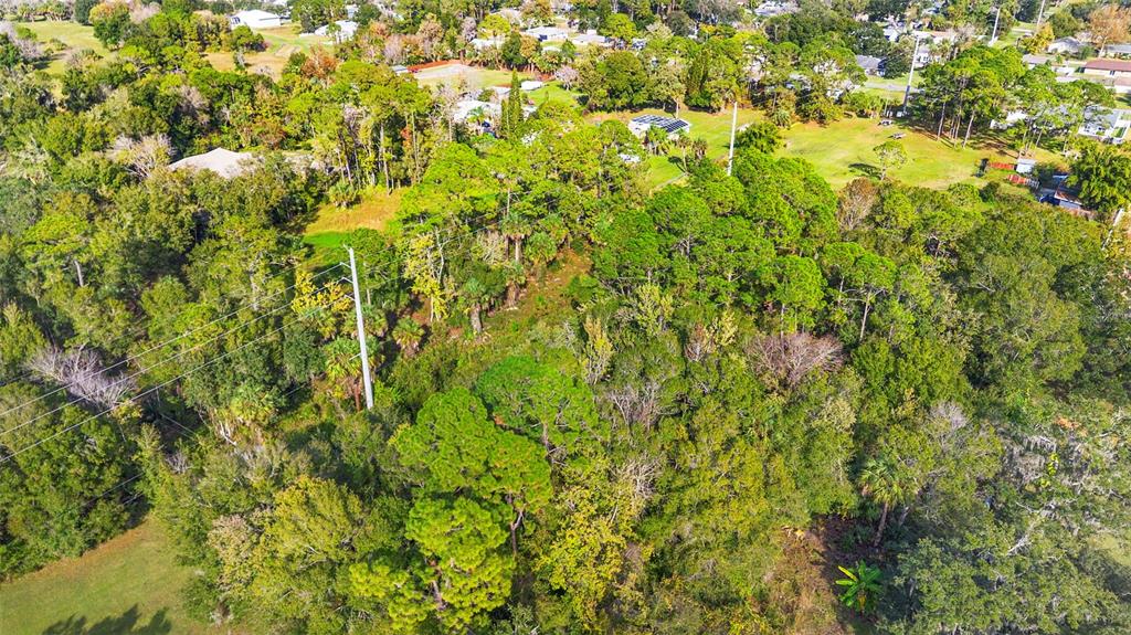 PINEDALE ROAD, EDGEWATER, FL — photo 4 of 16