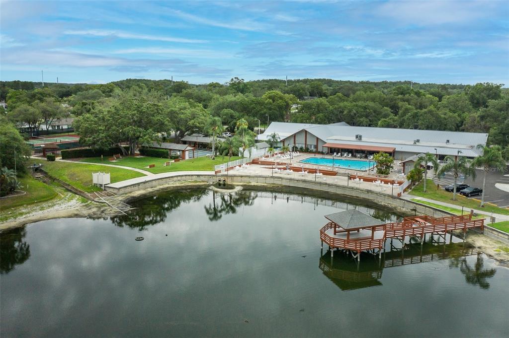 An aerial view shows a lake with a wooden pier, a swimming pool, and buildings — 8225 SAN FELIPE COURT, PORT RICHEY, FL