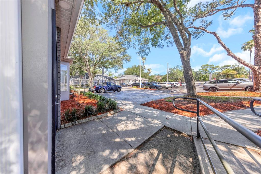 A concrete walkway leads to a parking lot with several cars under large shade trees — 14517 BRUCE B DOWNS BOULEVARD UNIT 301, TAMPA, FL