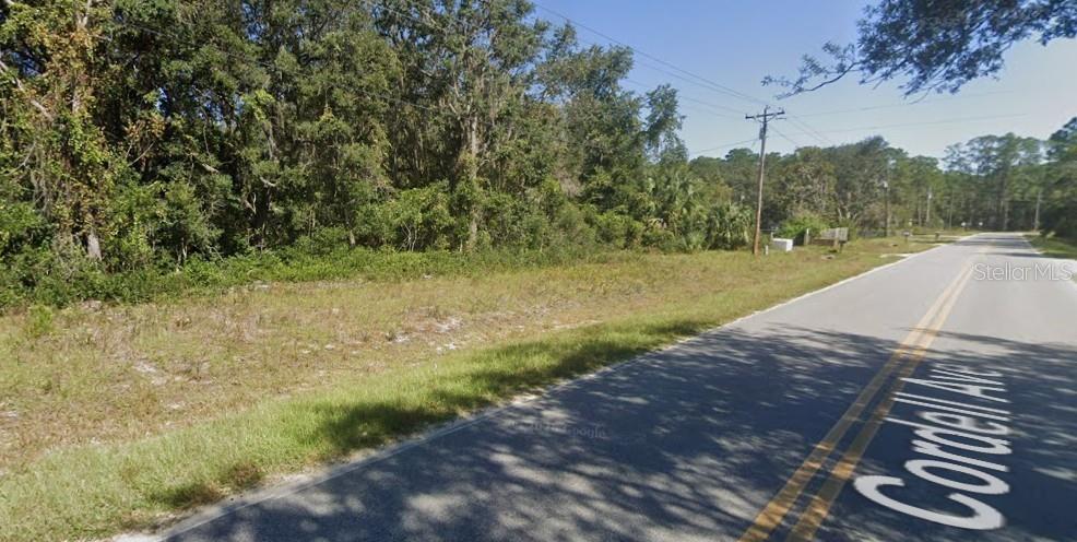A vacant, wooded lot sits alongside a paved road with a utility pole nearby — CORDELL AVENUE, INTERLACHEN, FL