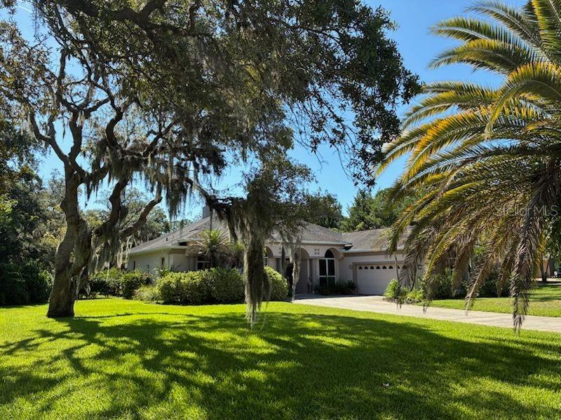 A single-story house with a garage and a large front yard featuring mature trees — 1521 SHADOW PINES DRIVE, NEW SMYRNA BEACH, FL