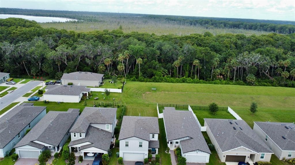 An aerial view shows several suburban houses bordering a large, grassy field and dense forest — 3336 CURLEW AVENUE, LEESBURG, FL