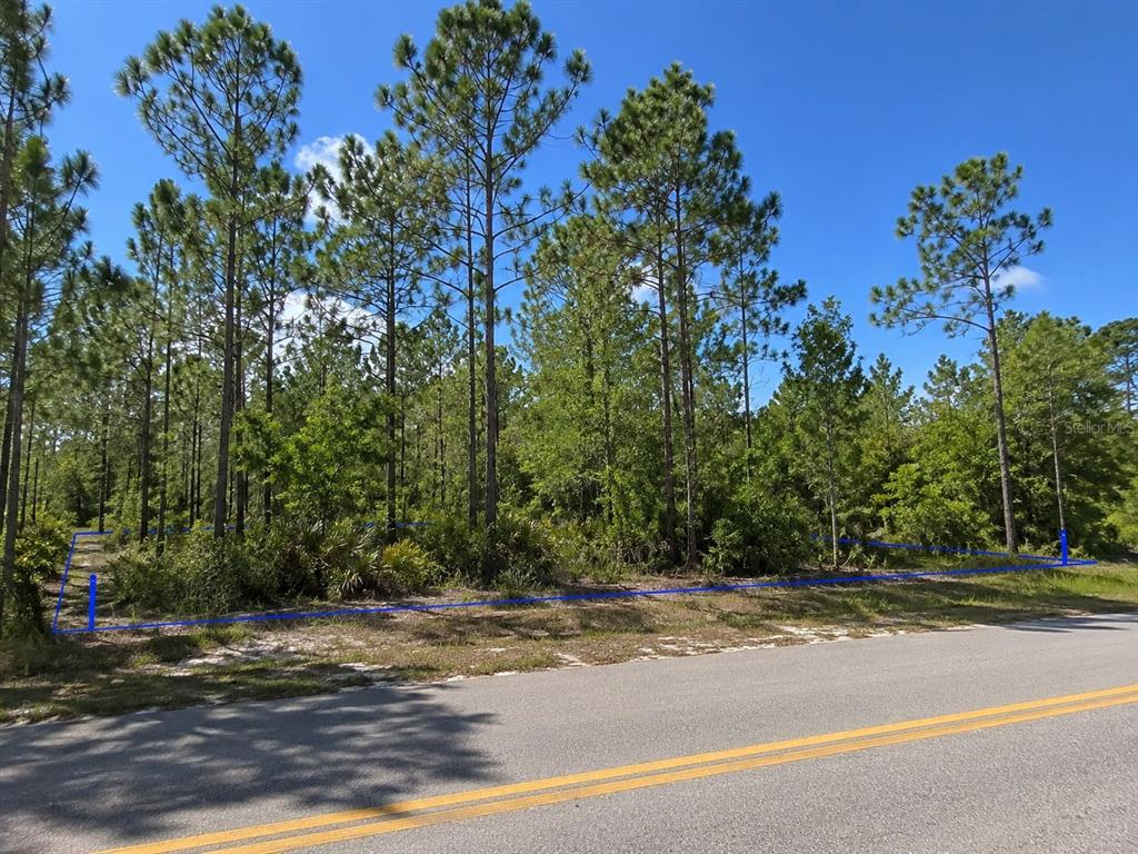 A wooded vacant lot is bordered by a blue line along a paved road — 2699 GAINESVILLE ROAD SE, PALM BAY, FL