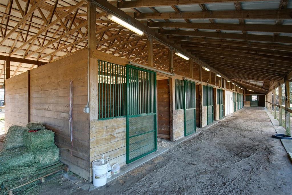 A horse stable aisle features wooden stalls with green metal doors and a dirt floor — 2351 NE 120 AVENUE, WILLISTON, FL
