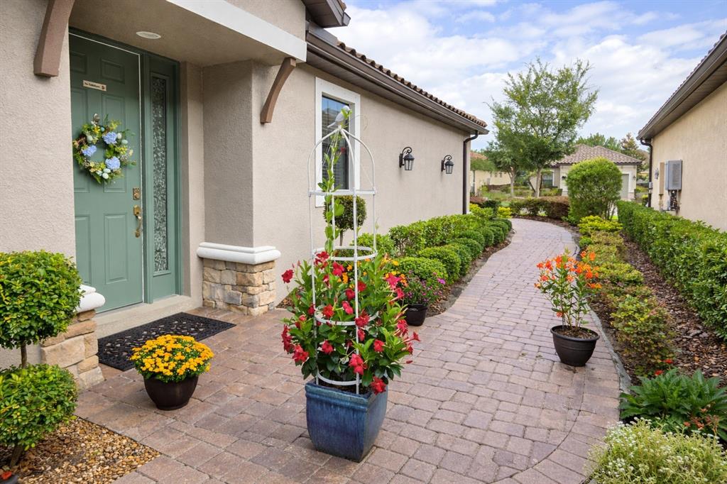 A paved walkway leads to a green front door with a wreath and potted plants — 8412 ALBERATA VISTA DRIVE, TAMPA, FL